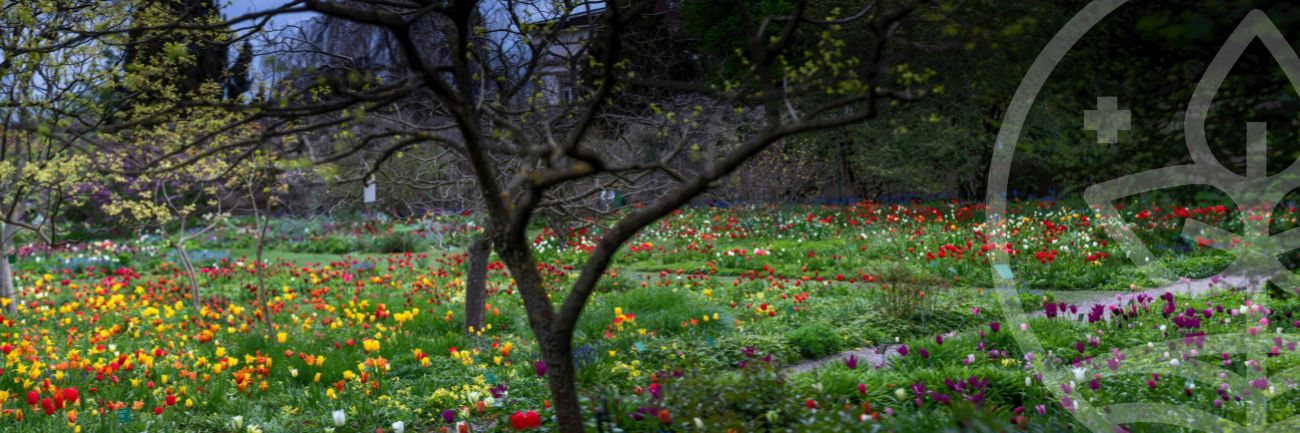 Image illustratrice de l'article