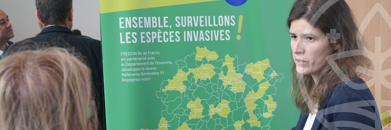 Image illustratrice de l'article