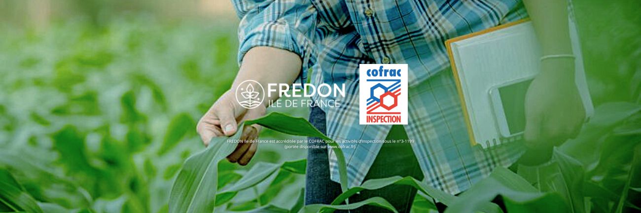 Image illustratrice de l'article